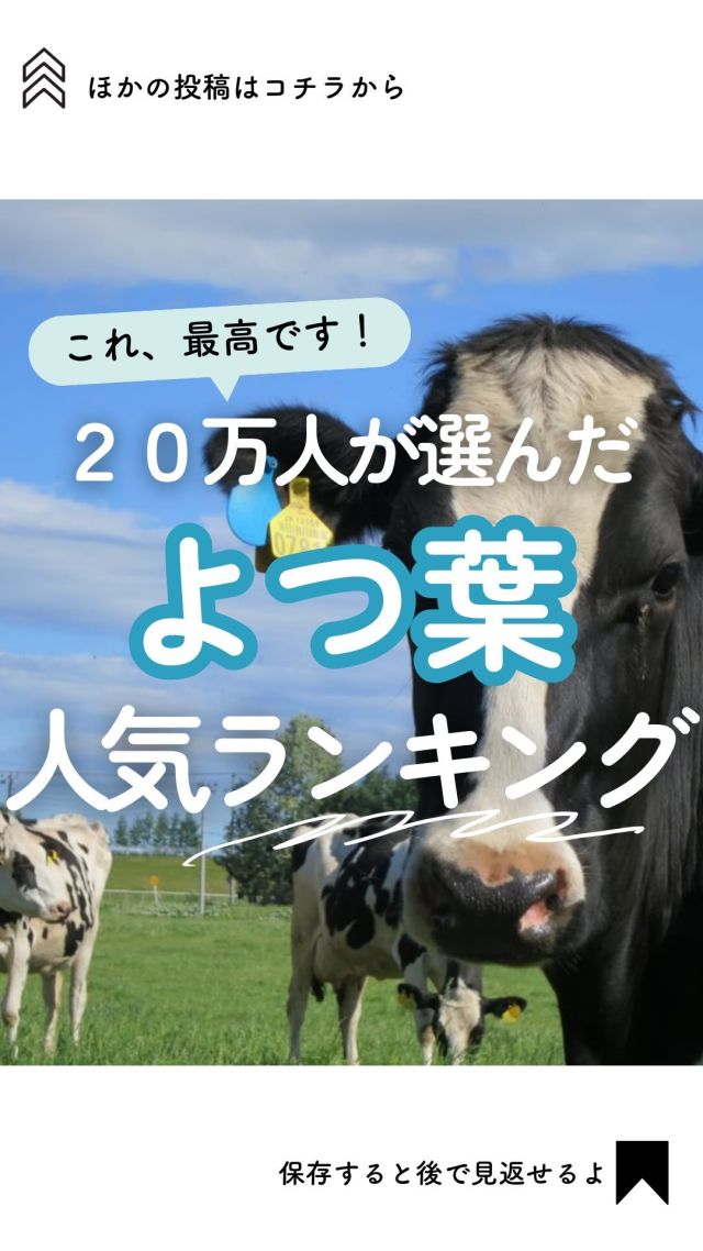 @coop.shizenha.kyoto
＼よつ葉の人気商品ランキングTOP５🐮／

𓂃𓂃𓂃𓂃𓂃𓂃𓂃𓂃𓂃𓂃

『りんごの旬、はやみ表』
▼プロフィールから見れます🙋💓
@coop.shizenha.kyoto

𓂃𓂃𓂃𓂃𓂃𓂃𓂃𓂃𓂃𓂃

ファンの多い、北海道十勝のよつ葉商品✨
今回はコープ自然派の組合員さんの
評価件数が多い、よつ葉人気ランキングを
ご紹介します！！😊🤲

𓈒 𓏸 𓐍  𓂃 𓈒𓏸 𓂃◌𓈒𓐍 𓈒

coop売れ筋商品ランキング　| 
京都こだわりのお店　|  をゆるく発信中🥕

自然派な食べものの選び方もわかる🌿
フォローはこちらから↓
　　　　　　@coop.shizenha.kyoto

𓈒 𓏸 𓐍  𓂃 𓈒𓏸 𓂃◌𓈒𓐍 𓈒

#生協
#コープ
#宅配
#コープ自然派
#コープ自然派京都
#無添加フード 
#無添加ママと繋がりたい 
#無添加生活な人と繋がりたい 
#無添加ご飯 
#オーガニックスイーツ 
#オーガニック食材 
#オーガニックな暮らし 
#自然派ママさんと繋がりたい 
#自然派生活 
#自然派ごはん 
#自然派コープ
#自然派子育て 
#よつ葉
#北海道十勝
#よつ葉バター 
#よつ葉乳業