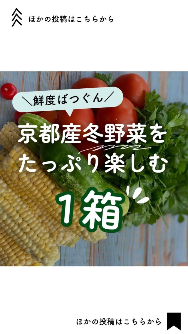 @coop.shizenha.kyoto
＼京都野菜がたっぷり！変わり種も／

𓂃𓂃𓂃𓂃𓂃𓂃𓂃𓂃𓂃𓂃

『りんごの旬、はやみ表』
▼プロフィールから見れます🙋💓
@coop.shizenha.kyoto

𓂃𓂃𓂃𓂃𓂃𓂃𓂃𓂃𓂃𓂃

海老芋
日野菜
かぶら
きくいも
…など

京都のおいしい冬野菜で
素材の旨味を味わいませんか？☺️⛄️

2050円(税抜)で7〜9品入った
京都有機農業推進協議会の
＼みやこ野菜セット🥕／

夏と冬だけの限定企画
来週が最終受注週となります！！
オンラインからご注文、お待ちしております🕊️

𓈒 𓏸 𓐍  𓂃 𓈒𓏸 𓂃◌𓈒𓐍 𓈒

キッチンカー　|  イベント情報
コープにまつわるあれこれ　|  をゆるく発信中🥕

自然派な食べものの選び方もわかる🌿
フォローはこちらから↓
　　　　　　@coop.shizenha.kyoto

𓈒 𓏸 𓐍  𓂃 𓈒𓏸 𓂃◌𓈒𓐍 𓈒

#生協
#コープ
#宅配
#コープ自然派
#コープ自然派京都
#無添加フード 
#無添加ママと繋がりたい 
#無添加生活な人と繋がりたい 
#無添加ご飯 
#オーガニックスイーツ 
#オーガニック食材 
#オーガニックな暮らし 
#自然派ママさんと繋がりたい 
#自然派生活 
#自然派ごはん 
#自然派コープ
#自然派子育て 
#京野菜
#京野菜アレンジメント
#産地直送野菜
#無農薬野菜宅配
#無農薬野菜セット
#オーガニック野菜セット
