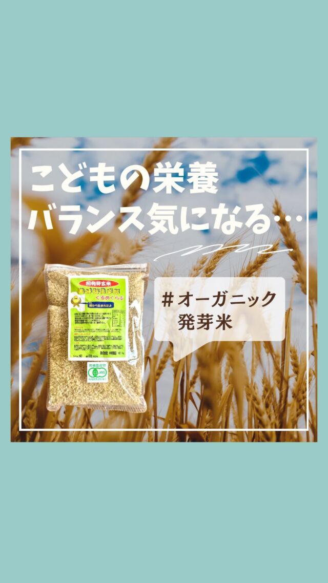 @coop.shizenha.kyoto
＼こどもの栄養バランス心配なら、発芽米／
𓂃𓂃𓂃𓂃𓂃𓂃𓂃𓂃𓂃𓂃

『野菜ぎらい1歳、これなら食べた』
▼TOPから見てね🙋💓
@coop.shizenha.kyoto
𓂃𓂃𓂃𓂃𓂃𓂃𓂃𓂃𓂃𓂃

お米って、黒米、古代米
雑穀米、玄米、◯分づきなど
家庭によってこだわりが違いますよね。

私(更新スタッフ)は自分1人だったら
酵素玄米が作れる炊飯器を買って
毎日食べたいんですが

旦那がモサモサした食感の玄米が嫌いなので、
結局白米を食べることが多い。。🥲(あるあるみたい)

みなさんのお家のお米のこだわり、
よかったら聞かせてください😌✨

𓈒 𓏸 𓐍  𓂃 𓈒𓏸 𓂃◌𓈒𓐍 𓈒

がんばりすぎない、シンプル「食育」
ゆるく発信していきます🥕

1歳児のスタッフママが更新中
↓気軽にフォロー・コメントしてね🌿
　　　　　@coop.shizenha.kyoto

𓈒 𓏸 𓐍  𓂃 𓈒𓏸 𓂃◌𓈒𓐍 𓈒

#生協
#コープ
#宅配
#コープ自然派
#コープ自然派京都
#無添加フード 
#無添加ママと繋がりたい 
#無添加生活な人と繋がりたい 
#無添加ご飯 
#オーガニック食材 
#オーガニックな暮らし 
#自然派ママさんと繋がりたい 
#自然派生活 
#自然派ごはん 
#自然派コープ
#自然派子育て 
#玄米菜食 
#玄米ダイエット 
#玄米レシピ 
#発芽米 
#ご飯レシピ 
#子どもご飯 
#まげわっば 
#まげわっぱ弁当箱 
#まげわっぱべんとう 
#幼児食ストック 
#幼児食1歳 
#幼児食弁当 
#幼児食2歳